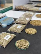 UQINNOVA se articula para trabajar por la calidad del café