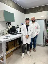 Prolongación de la vida útil de los alimentos con materiales fotoactivos, el proyecto que recibirá financiación del acceso a equipos y técnicas de alto impacto