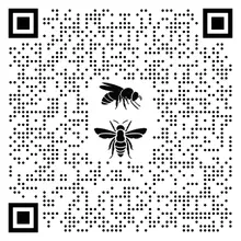 Encuesta abejas UQ