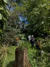 Encuesta proyecto abejas armenia UQ 1