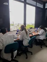 Encuesta proyecto abejas armenia UQ 2