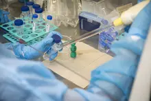 Investigación biomédica avanzada: Los servicios del CIBM de la UQ