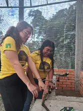 Proyecto hoteles de polinizadores UQ 4