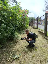 Proyecto hoteles de polinizadores UQ 5