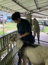 Formación y vocación: cuatro uniquindianos destacan como bomberos voluntarios en Cali