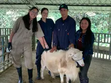 Formación y vocación: cuatro uniquindianos destacan como bomberos voluntarios en Cali