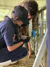 Formación y vocación: cuatro uniquindianos destacan como bomberos voluntarios en Cali