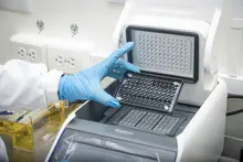 Más del 80% de los grupos de investigación de la UQ son reconocidos por MinCiencias