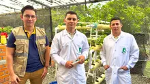 Sistema de riego automatizado para el vivero de la UQ, un proyecto de estudiantes uniquindianos