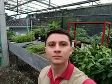 Sistema de riego automatizado para el vivero de la UQ, un proyecto de estudiantes uniquindianos