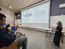 Embajadores uniquindianos chile 6