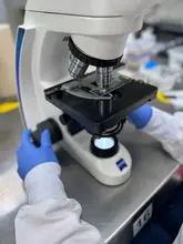 Centro de Investigaciones Biomédicas  de la UQ es pionero en diagnóstico de Demodex