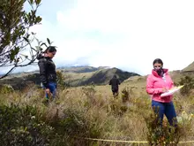 Campo Cultivo in vitro especies paramunas UQ 3