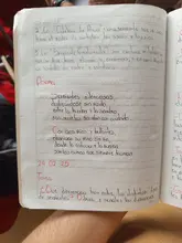 Serpientes proyecto de extensión conservación biocultural Riosucio, Caldas 4