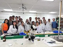 Viviendo entre orquídeas 2