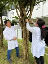 Siembra orquídeas UQ 3