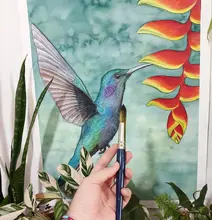 Explorando la naturaleza a través del arte: Una entrevista con el ilustrador David Cardona