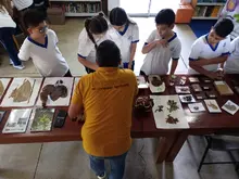 Promoviendo la investigación: el Herbario y la colección Ornitológica de la UQ participaron en feria de la ciencia en Roldanillo