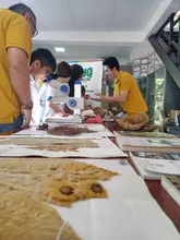 Promoviendo la investigación: el Herbario y la colección Ornitológica de la UQ participaron en feria de la ciencia en Roldanillo