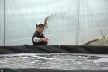 Innovador proyecto en acuicultura busca transformar las comunidades campesinas del Quindío