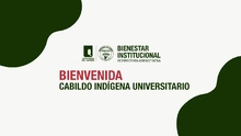 Bienvenida Cabildo Indígena