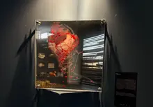 Remiendo y Hellywood en el Débora Arango