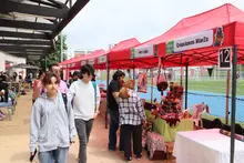 Camino del emprendedor