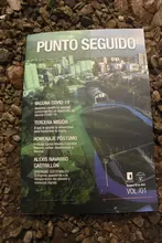 Revista Punto Seguido