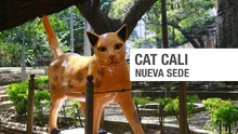 Nueva sede CAT Cali