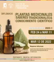 Diplomado Plantas Medicinales