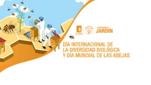 Diversidad Biologica y Abejas