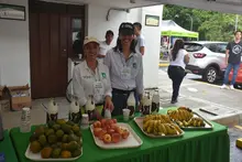 Biciferia Uniquindio
