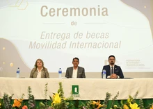 Movilidad Internacional 3