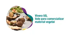 El vivero de la Uniquindío recibió registro del ICA para distribuir material vegetal en todo el territorio nacional