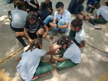 Facultad de Ingeniería de la UQ participó en EIEI Acofi 2023