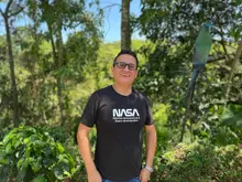 Los cactus de PauLina