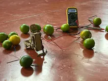 DEL COLEGIO A LA U EN EL SAN LUIS REY