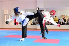 Lady, hapkido