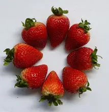 Artículo científico química 1