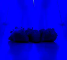 Artículo científico química 2