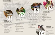 Contenido Quindío Encanto Natural