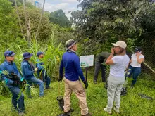 Compensación forestal 1