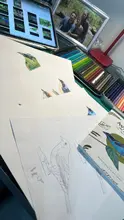 Publicada la primera guía ilustrada de la avifauna de Armenia