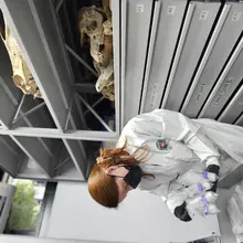 Quindío, el departamento con mayor diversidad de mamíferos: