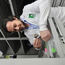 Quindío, el departamento con mayor diversidad de mamíferos: