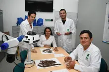 Más del 40% de los programas académicos acreditables de la UQ están acreditados en alta calidad