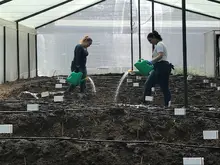 Transformando la agricultura: Desarrollo de tecnología inteligente