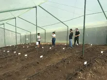 Transformando la agricultura: Desarrollo de tecnología inteligente