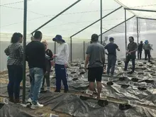 Transformando la agricultura: Desarrollo de tecnología inteligente en el Quindío y Antioquia