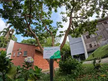 Universidad Jardín: Compromiso colectivo por la biodiversidad